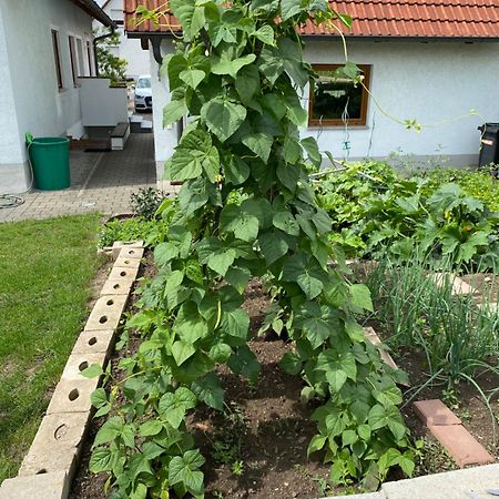 Ferienwohnung Eibenweg Gebsattel Esterno foto