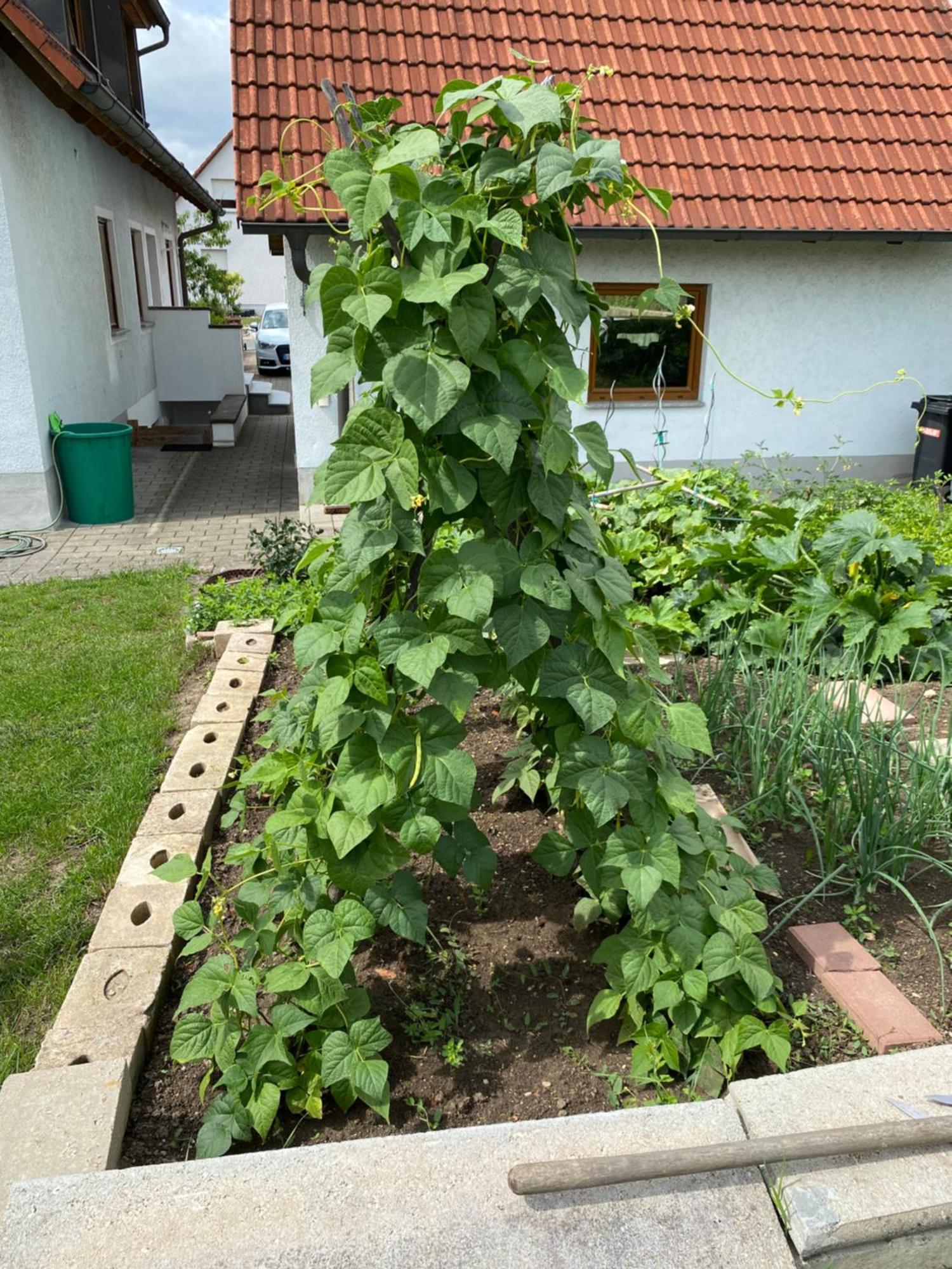 Ferienwohnung Eibenweg Gebsattel Esterno foto