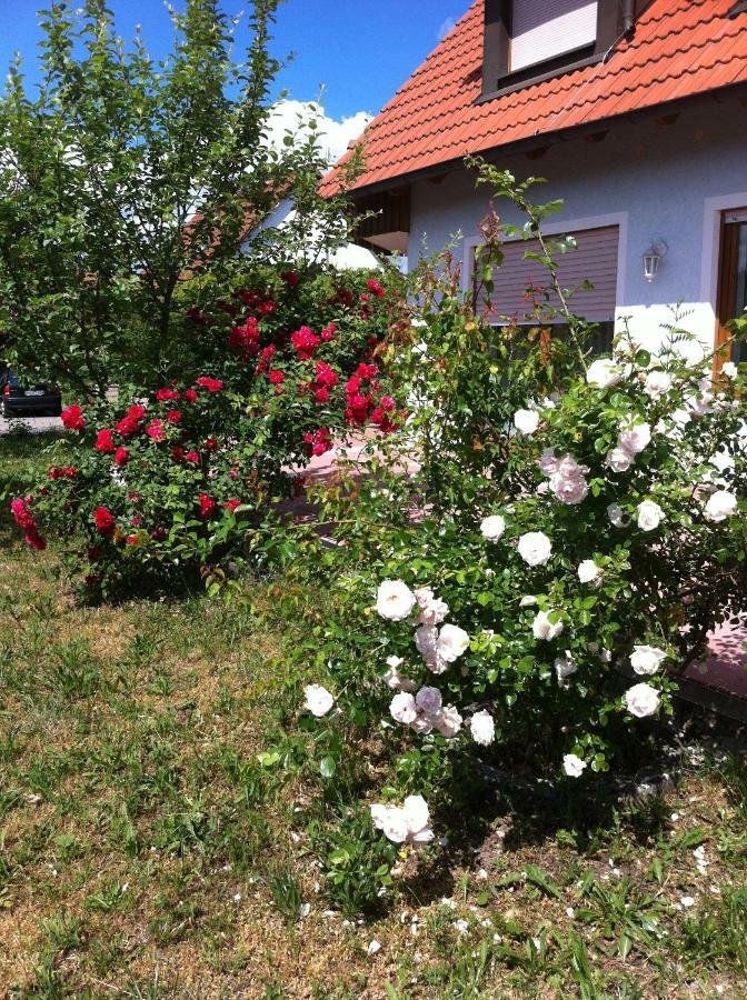Ferienwohnung Eibenweg Gebsattel Esterno foto